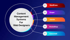 WEB DESIGNER WITH CONTENT MANAGEMENT SYSTEMS